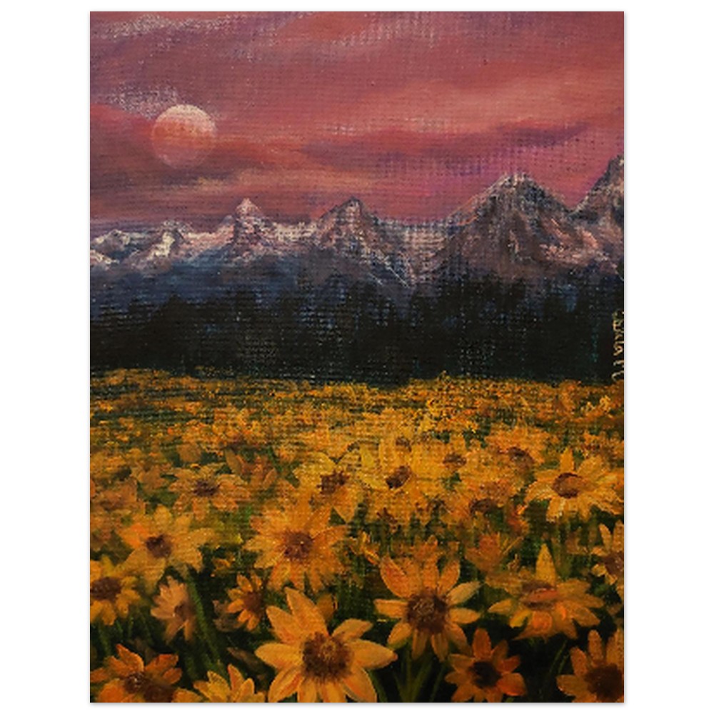 bd09356c-4a6a-407d-b9df-734da11e4091