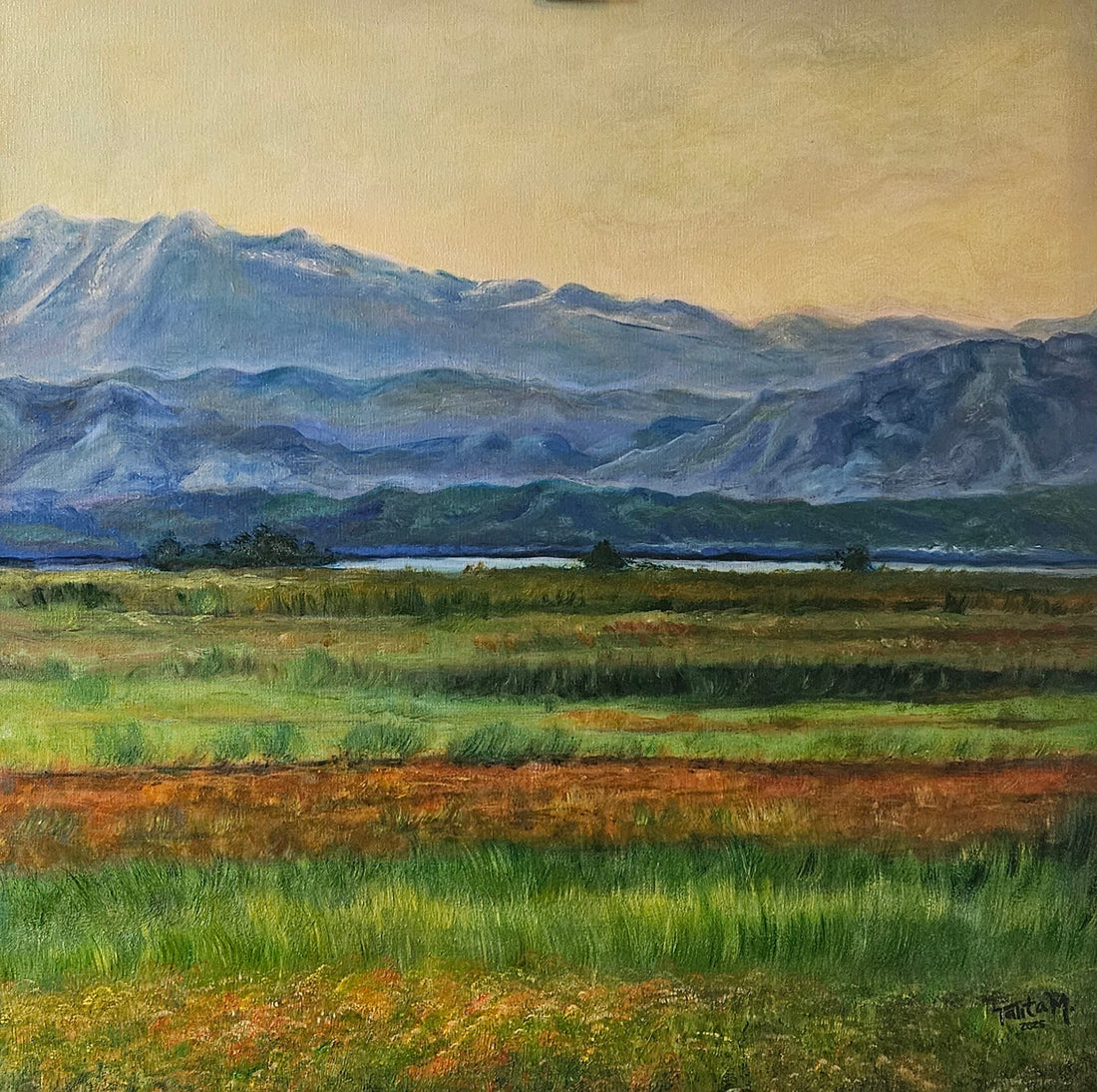 30X30cm Fields of Pakistan Fine Art Poster