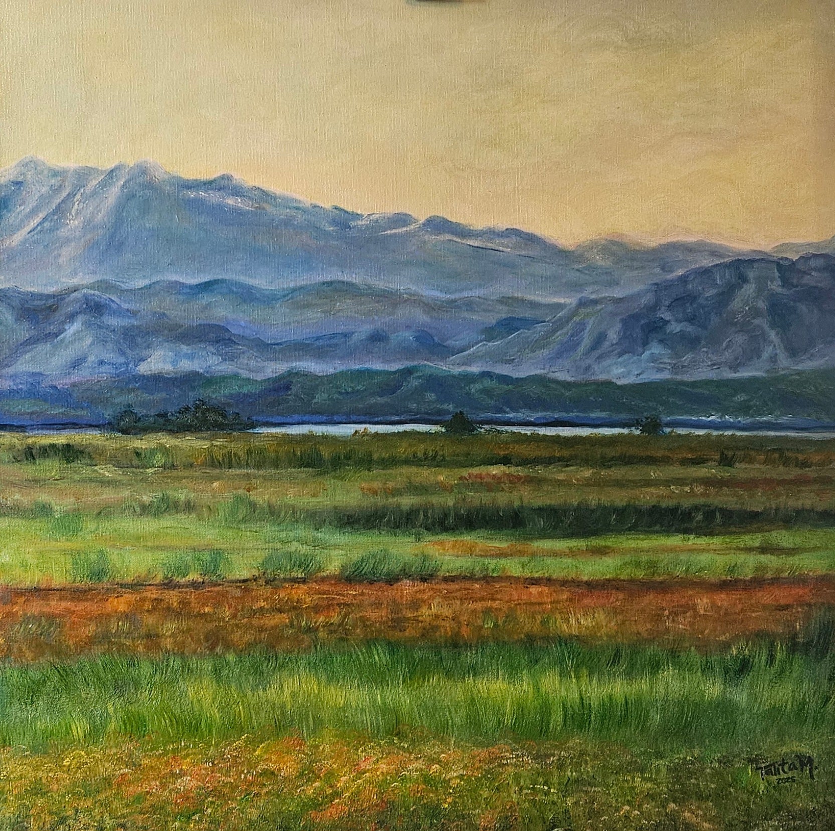 30X30cm Fields of Pakistan Fine Art Poster