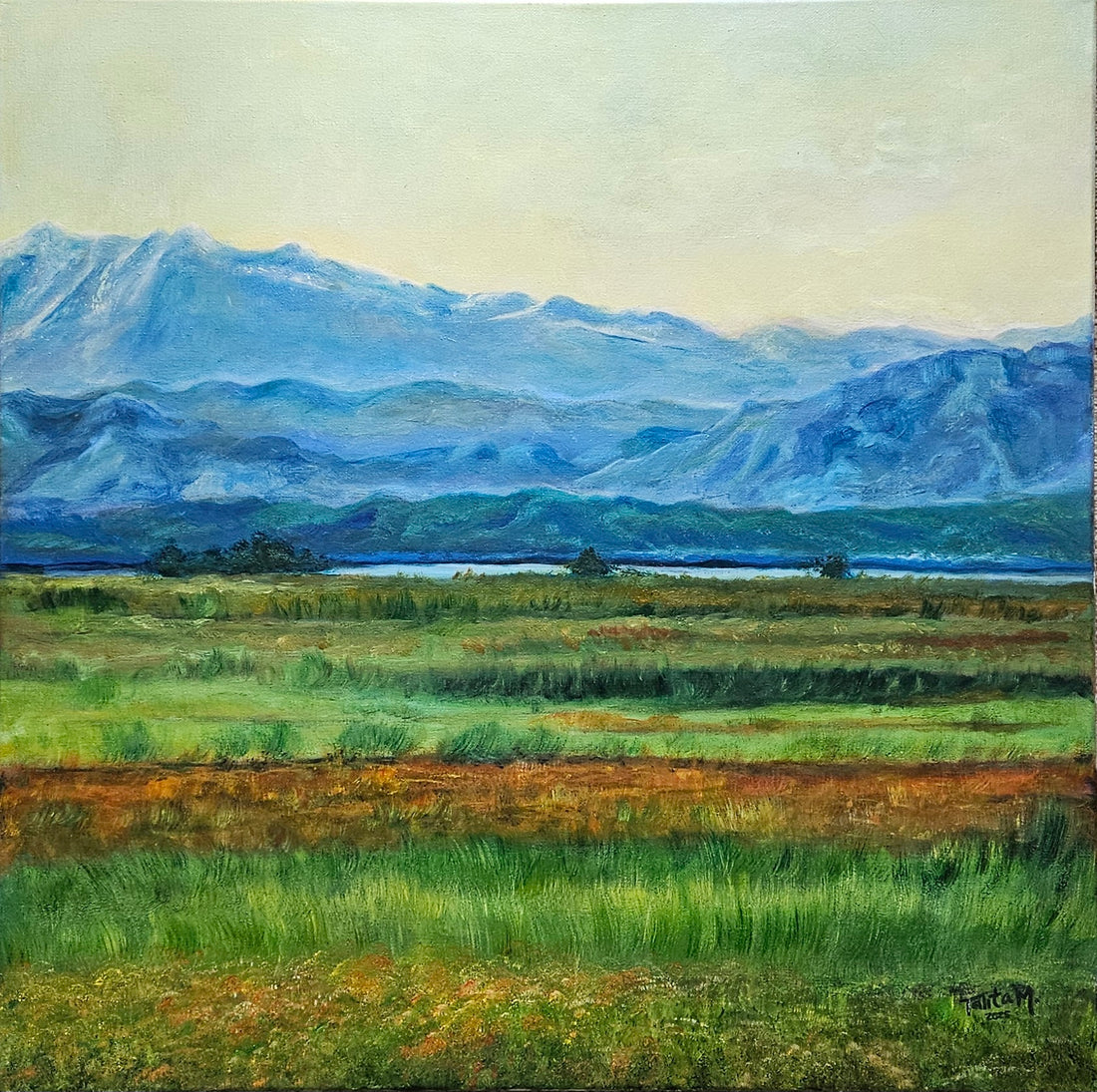 Fields of Paquistan